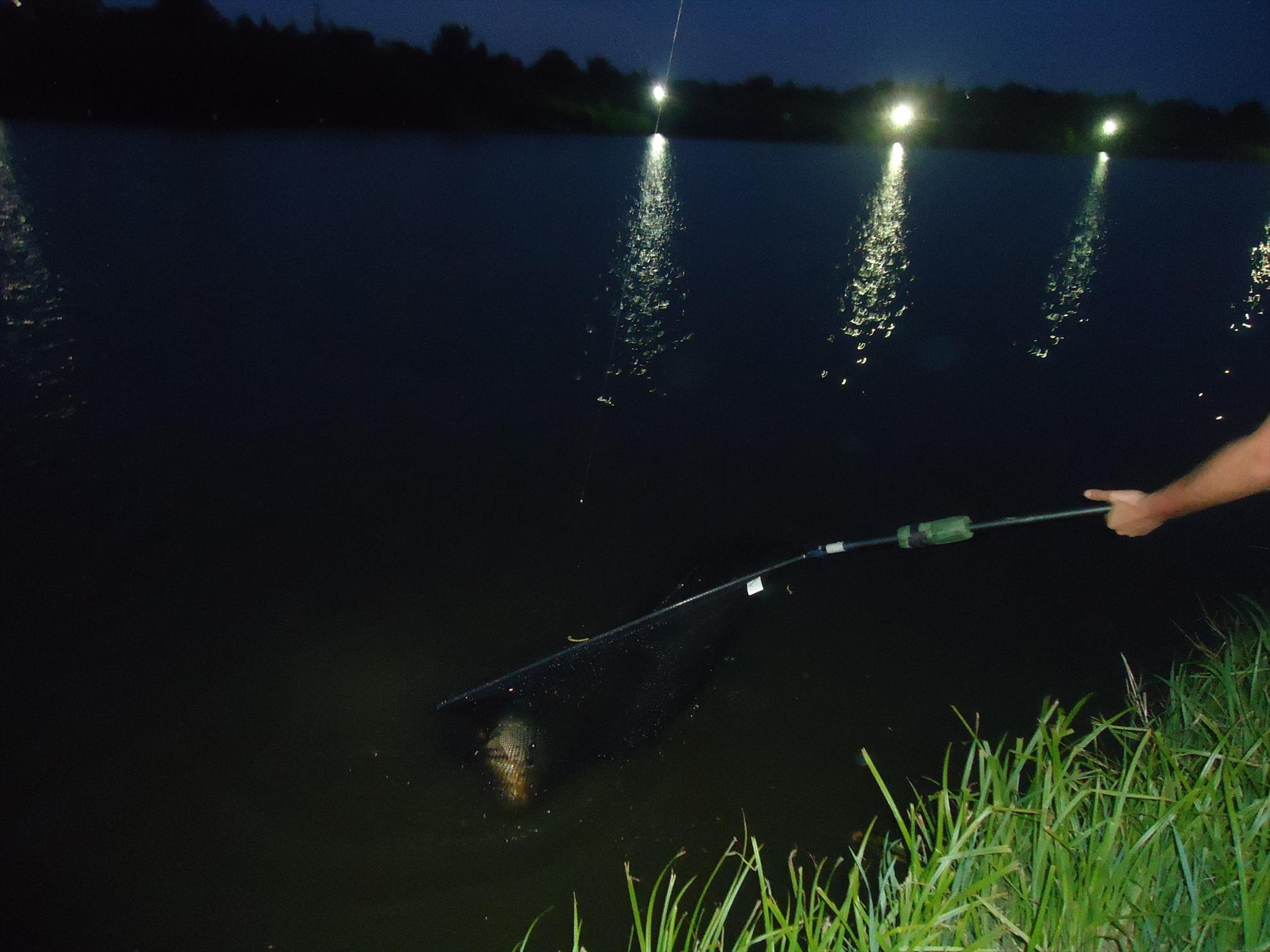 Moara Vlasiei 2 9 - 10 iulie 2014 - dsc05615.JPG